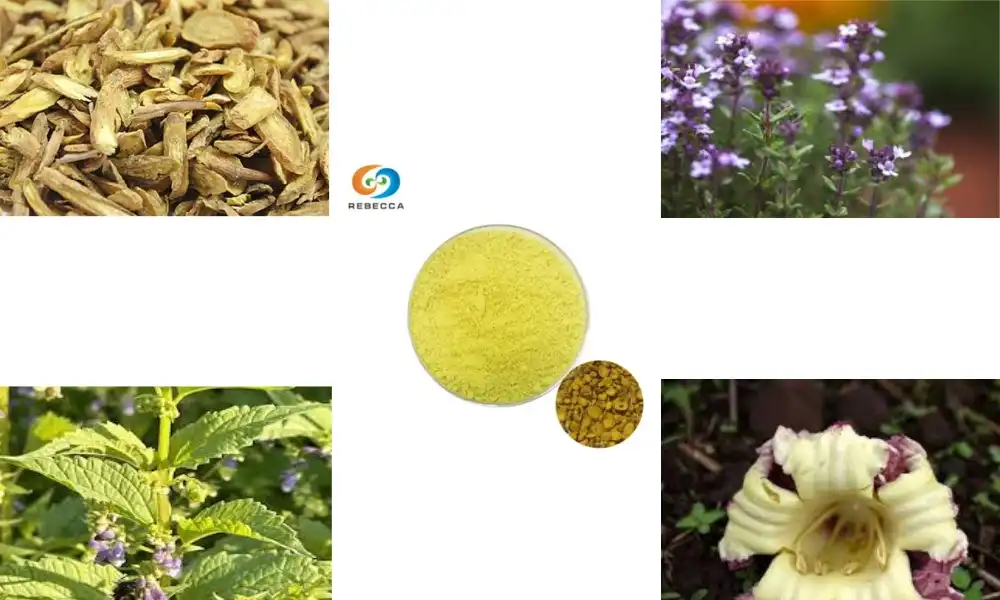 What foods contain baicalein?